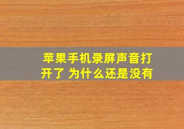 苹果手机录屏声音打开了 为什么还是没有